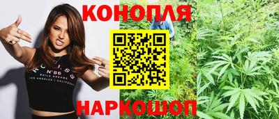 бошки Сланцы