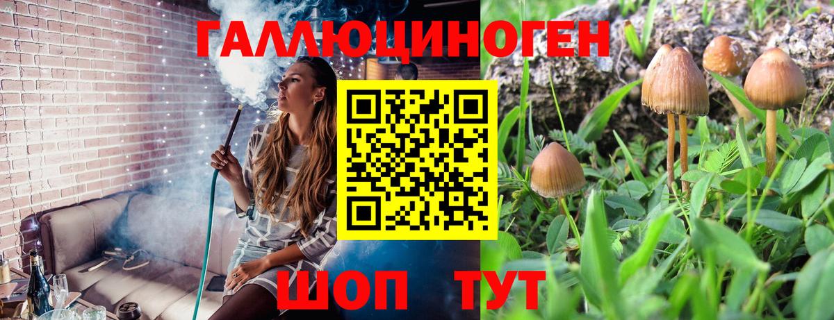 Галлюциногенные грибы Psilocybe  Вход с VPN  Острогожск  Галлюциногенные грибы Psilocybe 